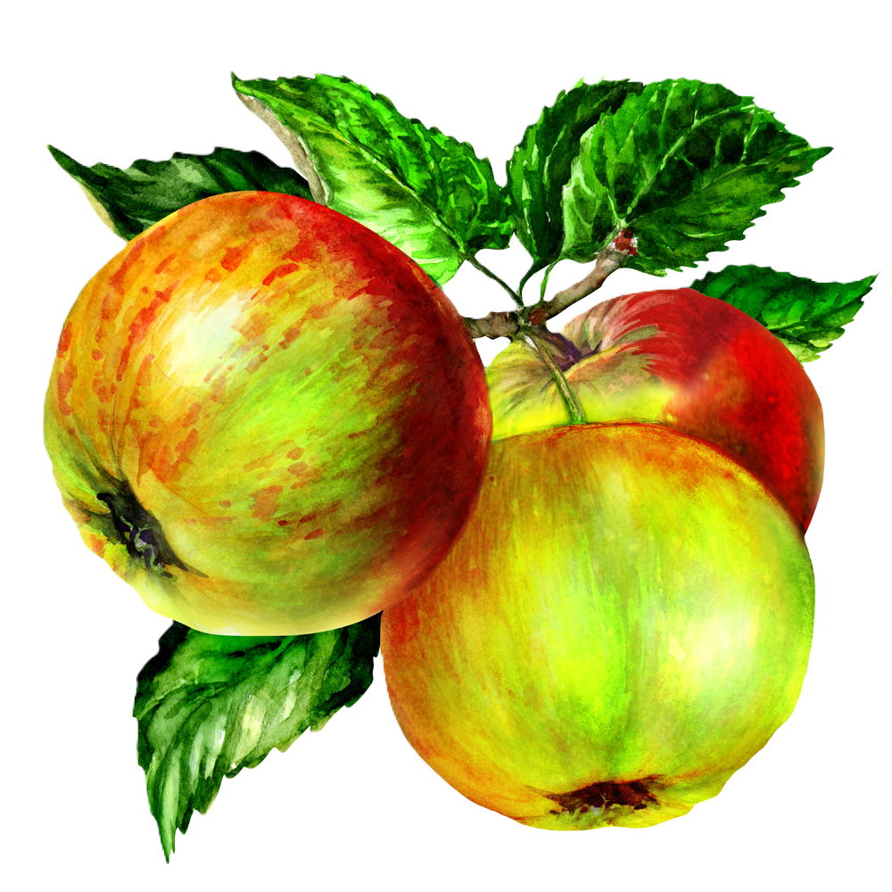 MOBIELE APPEL